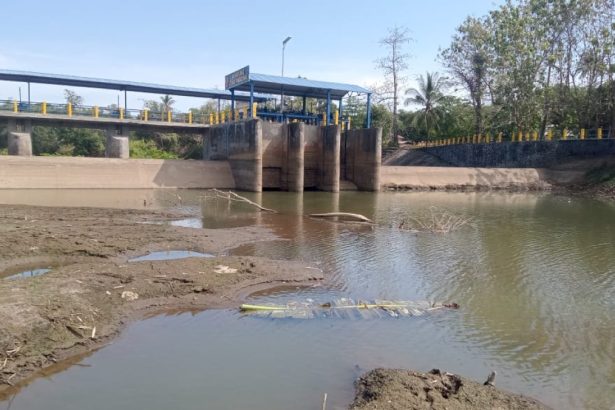 Dampak El Nino di Makassar