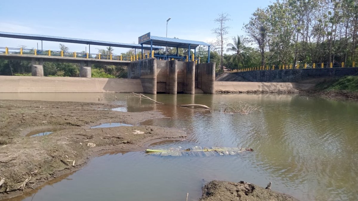 Dampak El Nino di Makassar