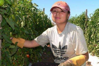 Gaji Pekerja Kebun di Australia