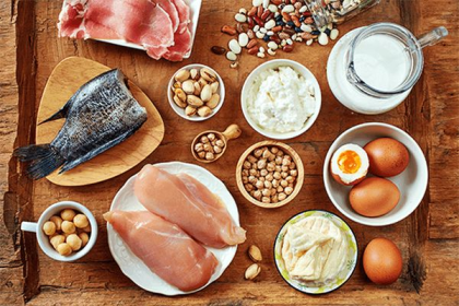 Masakan Tinggi Protein