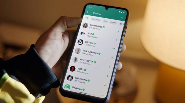 Cara Agar WhatsApp Tidak Bisa Ditelepon Tanpa Blokir Kontak